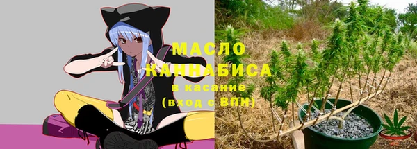 крисы Ветлуга