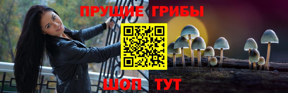 Галлюциногенные грибы мицелий Советская Гавань